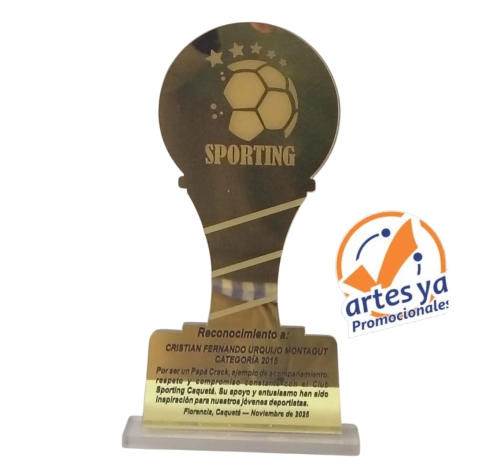 trofeos o galardon en acrilico